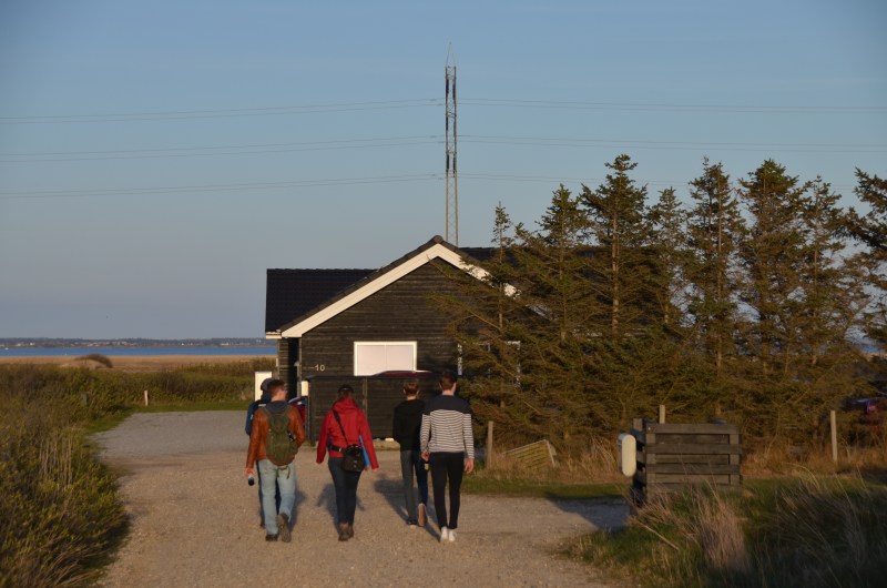 Eine Gruppe junger Menschen geht auf ein Ferienhaus zu, im Hintergrund der Ringköbing-Fjord in Dänemark.