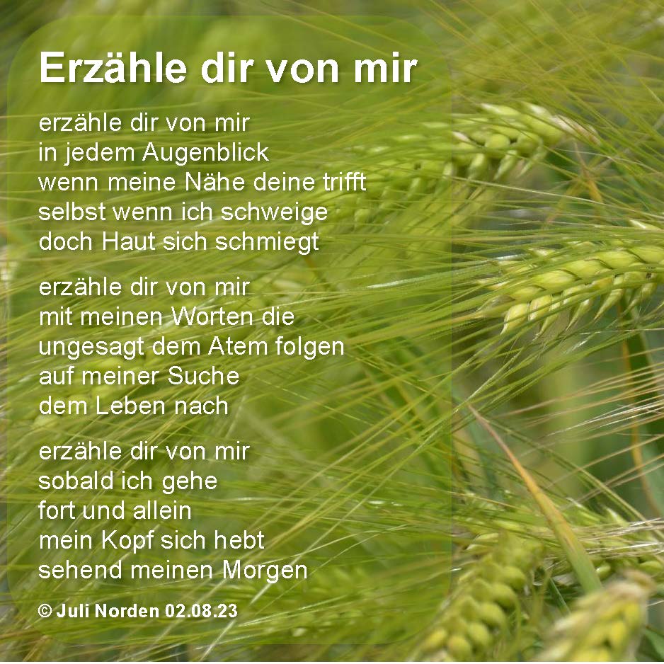 Gedicht "Erzähle dir von mir" von Juli Norden, weißer Text auf grünen Ähren