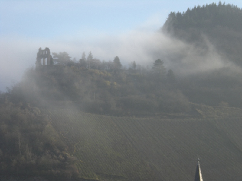 Die Ruine der Grevenburg im Nebel, oberhalb von Traben-Trarbach