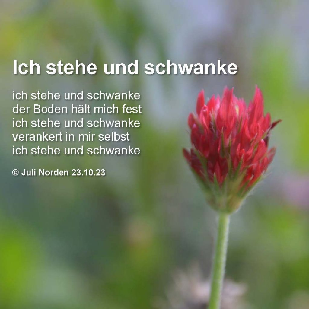 Gedicht "Ich stehe und schwanke" von Juli Norden, Text auf Foto einer Kleeblume
