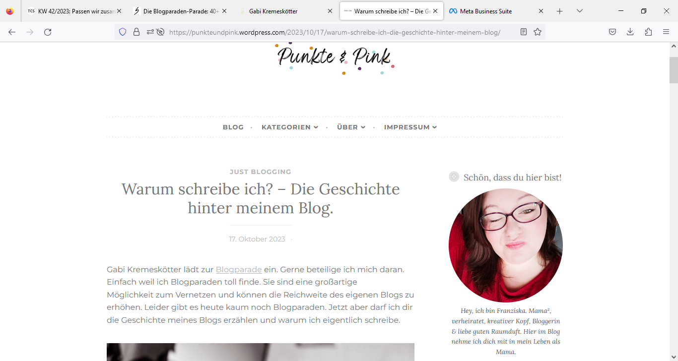 Screenshot Blogbeitrag Franziska Geipel 17.10.23