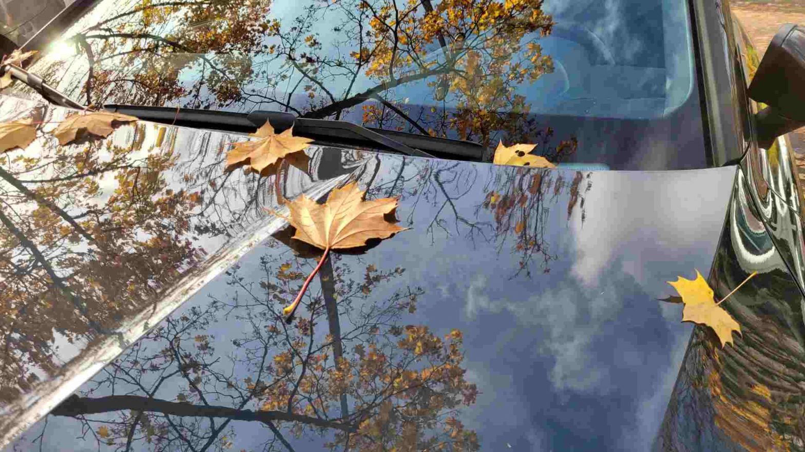 Eine Motorhaube mit Blättern und Himmel- und Baumspiegelung im Lack