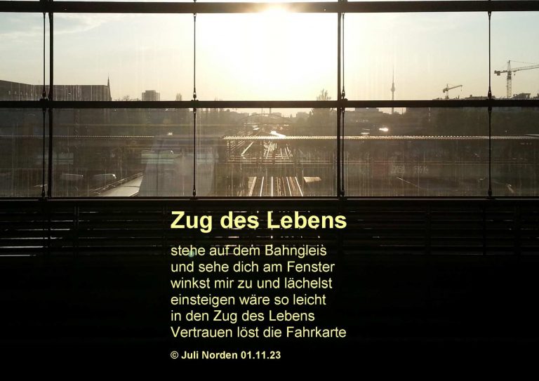Blick aus einem Bahnhof in die untergehende Sonne auf Gleise, davor das gedicht "Zug des Lebens" von Juli Norden