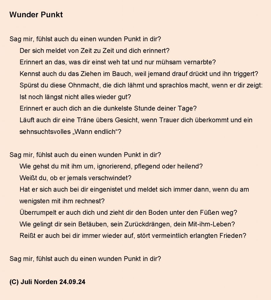 Fragengedicht mit dem Titel "Wunder Punkt" von Juli Norden