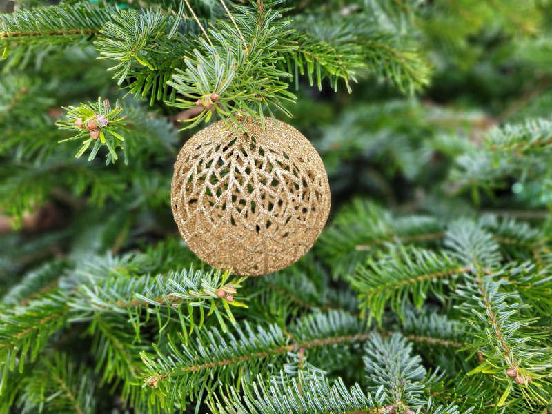 Filigrane goldene Weihnachtskugel an einem Tannenbaum