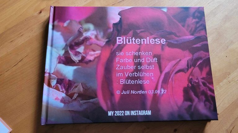 Rosenblüte