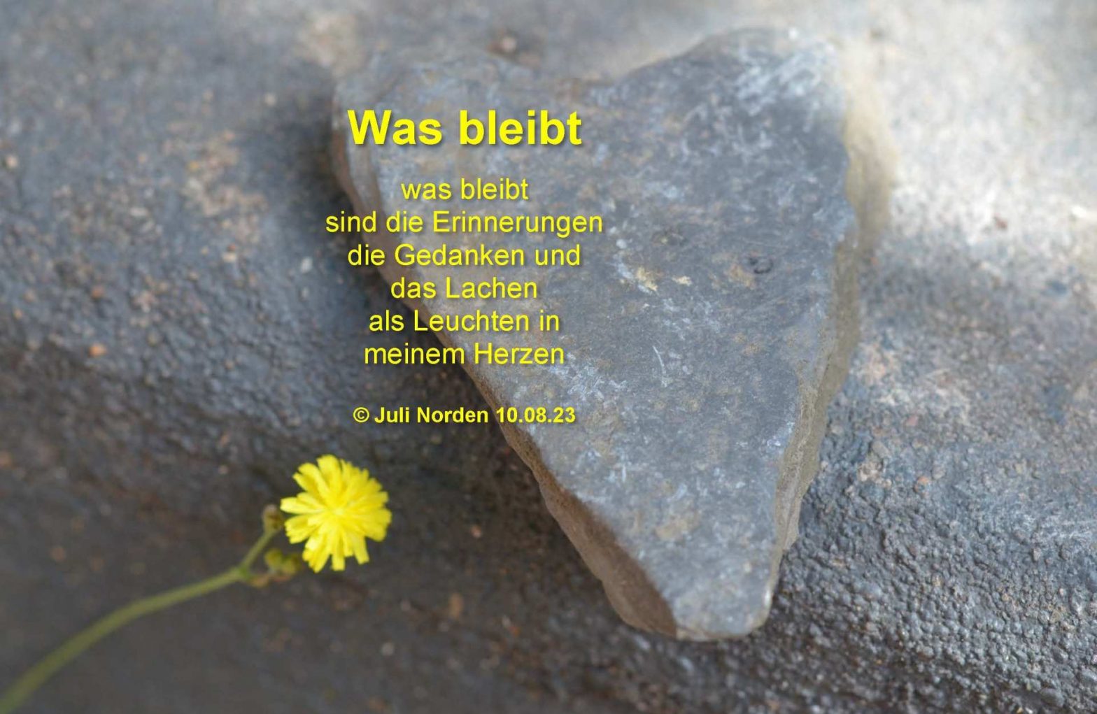 Ein Herz aus Schiefer neben einer gelben Blume darauf das Gedicht Was bleibt von Juli Norden