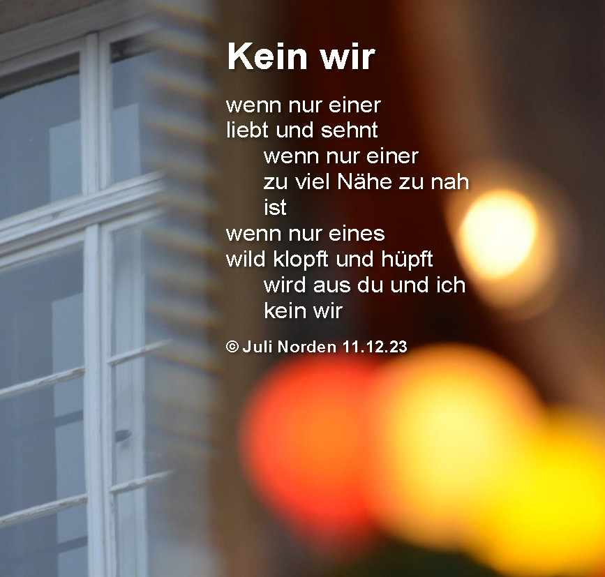 Gedicht "Kein wir" von Juli Norden vor einer unscharten Lichterkette und einem Fenster