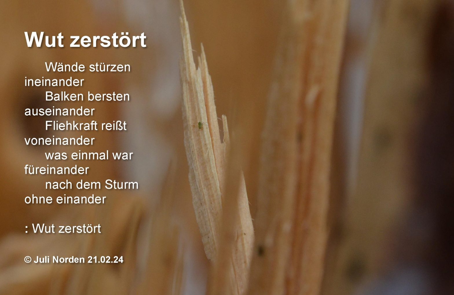 Foto von geborstenem Holz, darauf Gedicht "Wut zerstört" von Juli Norden