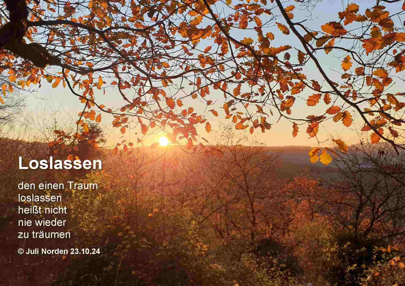 Gedicht Loslassen von Juli Norden auf Foto eines Sonnenuntergangs im Herbst