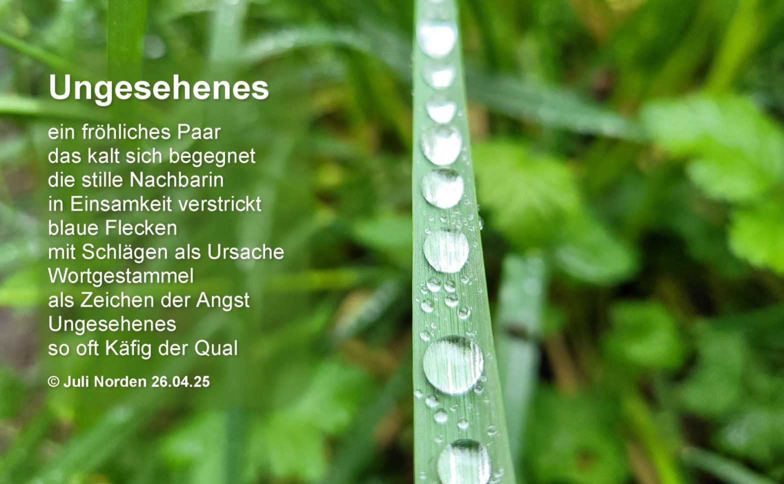Gedicht "Ungesehenes" von Juli Norden (c) 26.04.25 auf Foto von Regentropfen auf einem Grashalm