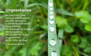 Gedicht "Ungesehenes" von Juli Norden (c) 26.04.25 auf Foto von Regentropfen auf einem Grashalm