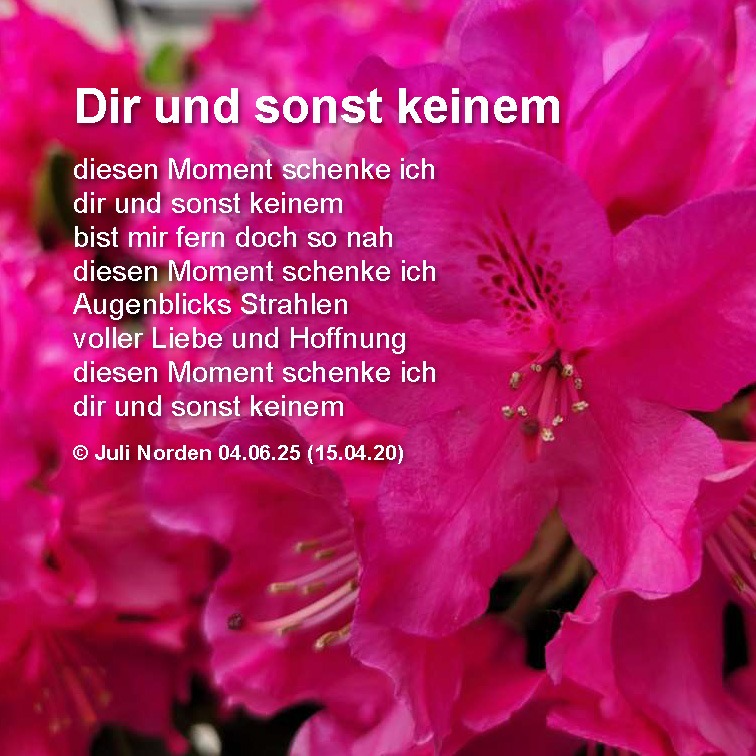 Rondell-Gedicht von Juli Norden "Dir und sonst keinem":
diesen Moment schenke ich/
dir und sonst keinem/
bist mir fern doch so nah/
diesen Moment schenke ich/
Augenblicks Strahlen
voller Liebe und Hoffnung/
diesen Moment schenke ich/
dir und sonst keinem
