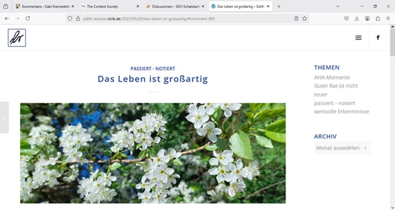Screenshot Blogartikel von Edith Leistner-Olrik "Das Leben ist grossartig"