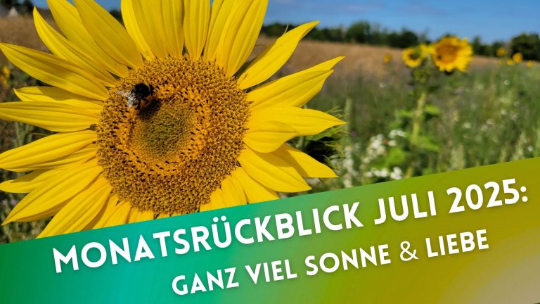 Eine Sonnenblume mit einer Hummel drauf, darunter Text: "Monatsrückblick Juli 2025: Ganz viel Sonne & Liebe"