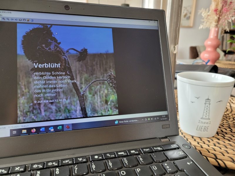 Laptop-Display, auf dem ein Gedicht von Juli Norden zu sehen ist.