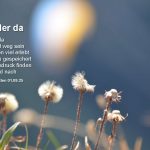 Gedicht "Wieder da" von Juli Norden auf einem Foto von Pflanzen im Gegenlicht