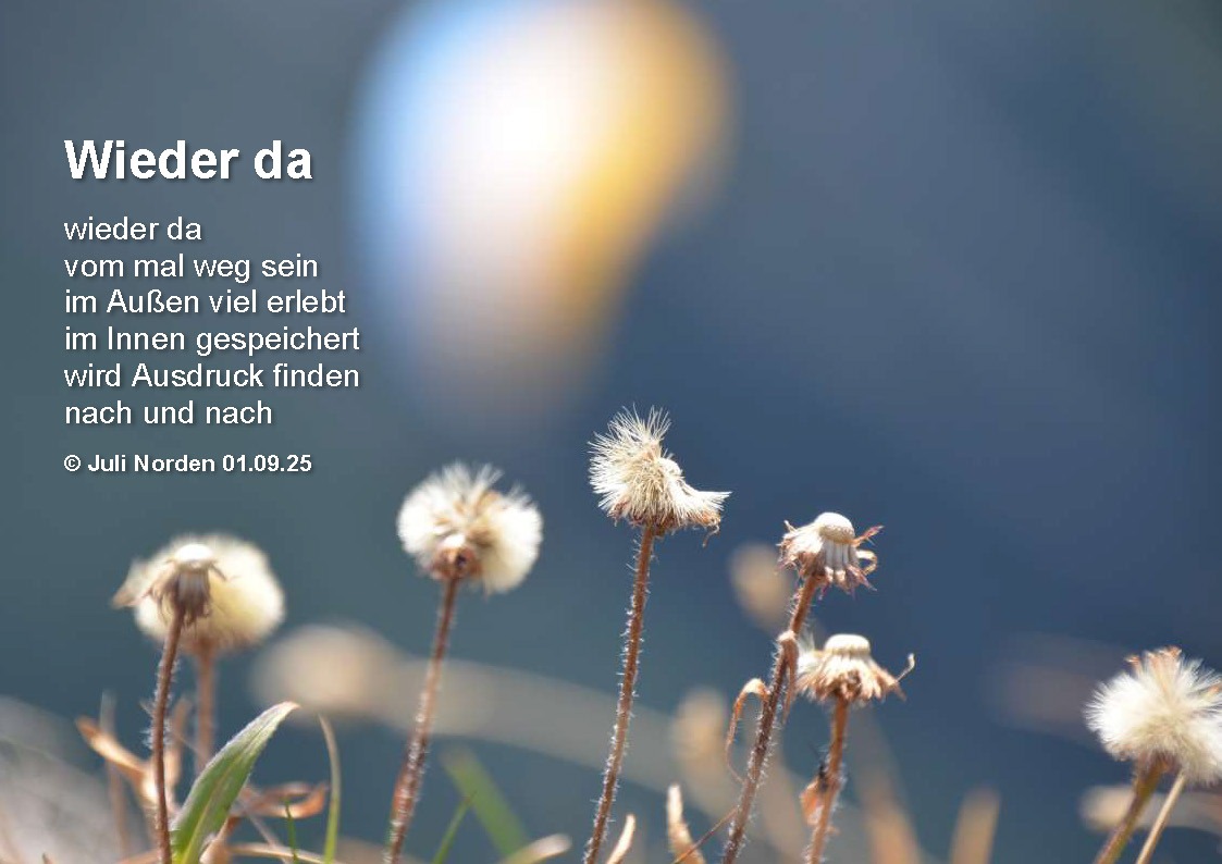 Gedicht "Wieder da" von Juli Norden auf einem Foto von Pflanzen im Gegenlicht