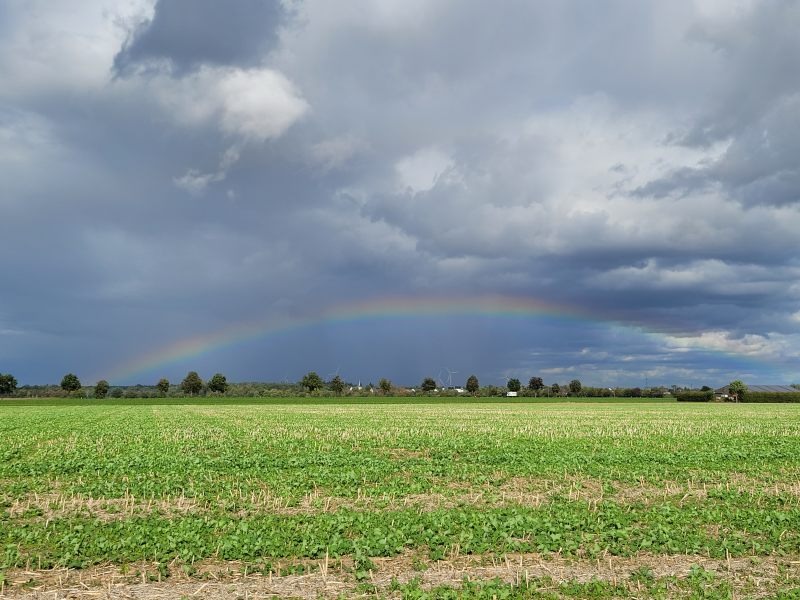 Dunkle Wolken über einem abgeernteten Feld