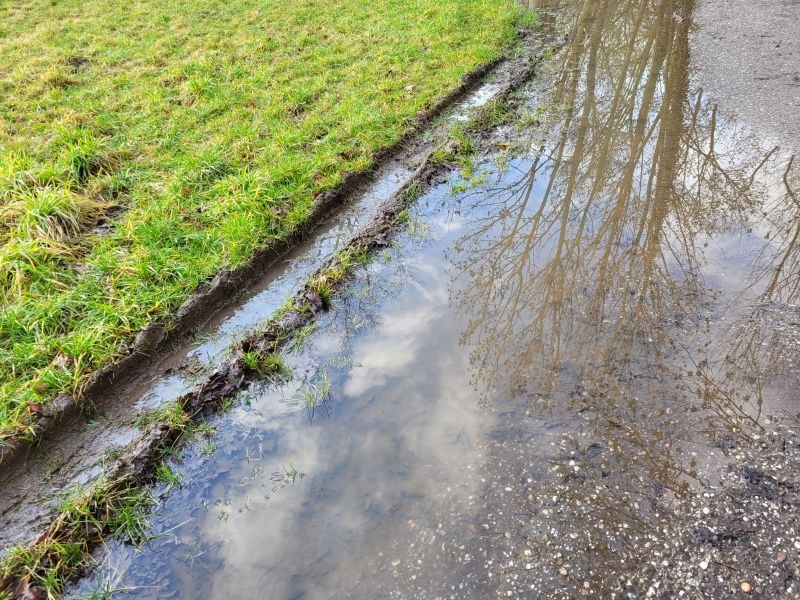 Ein Baum spiegelt sich mit hellblau-bewölktem Himmel in einer großen Pfütze