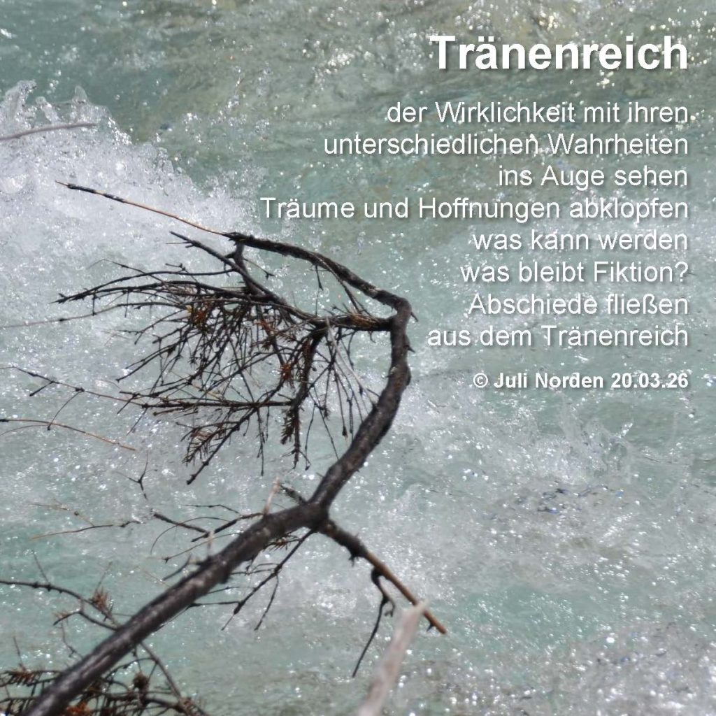 Gedicht von Juli Norden "Tränenreich" 20.03.26
