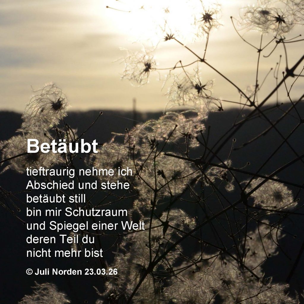 Trauergedicht "Betäubt" von Juli Norden 23.03.26