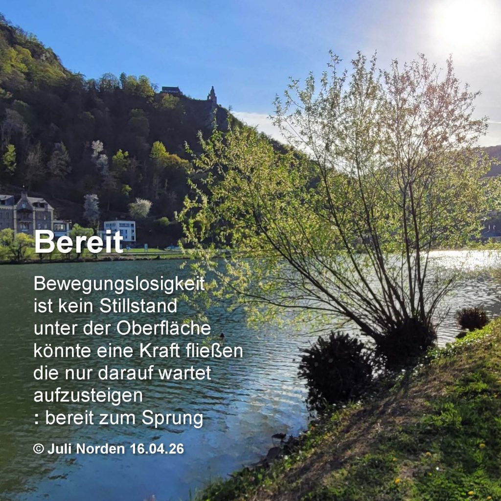 Gedicht "Bereit" von Juli Norden, auf dem Bild das Moseltal mit der Burgruine Grevenburg oberhalb von Traben-Trarbach.