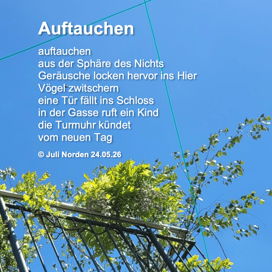Gedicht "Auftauchen" von Juli Norden