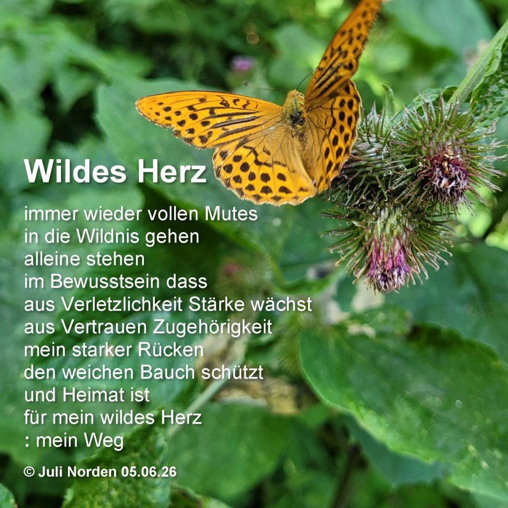 Gedicht "Wildes Herz" von Juli Norden, Text auf einem Foto eines Schmetterlings an einer Distel.