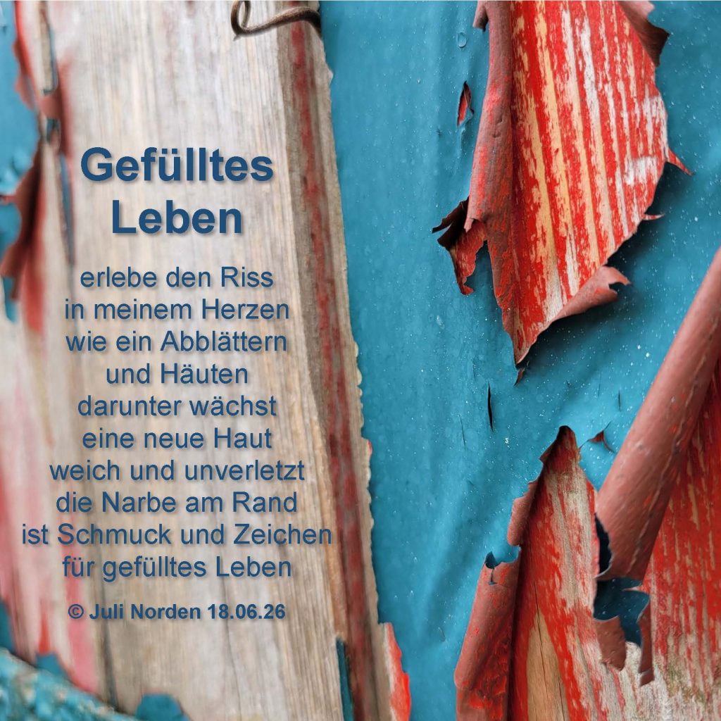 Gedicht "Gefülltes Leben" von Juli Norden: Gefülltes Leben/ erlebe den Riss( in meinem Herzen/ wie ein Abblättern/ und Häuten/ darunter wächst/ eine neue Haut/ weich und unverletzt/ die Narbe am Rand/ ist Schmuck und Zeichen/ für gefülltes Leben/ (c) Juli Norden 18.06.26