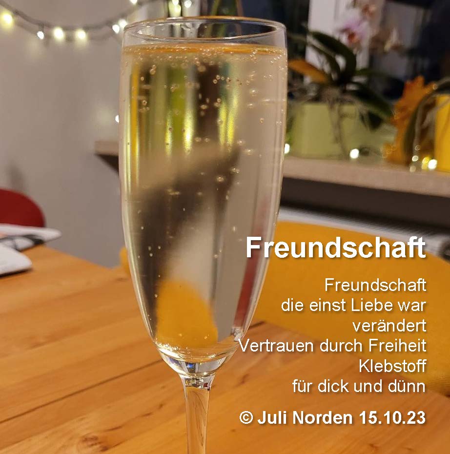 Gedicht von Juli Norden "Freundschaft", Text auf einem Foto mit gefülltem Sektglas