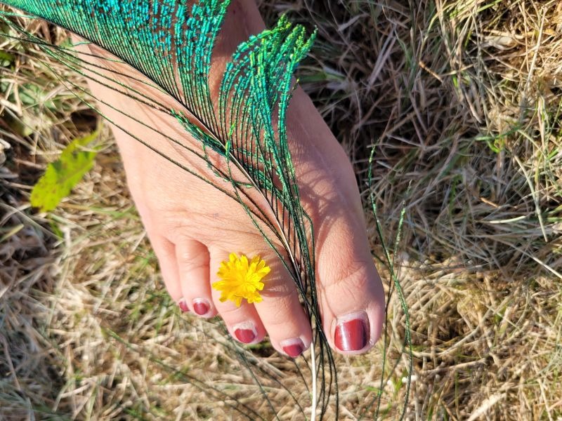 Fuß mit rot-lackierten Nägeln, zwischen zwei Zehen steckt eine gelbe Blüte, daneben eine grüne Pfauenfeder